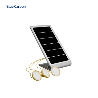 Blue Carbon Tragbares Mikro-Energiespeichersystem mit LED-Lampen für die Heimbeleuchtung